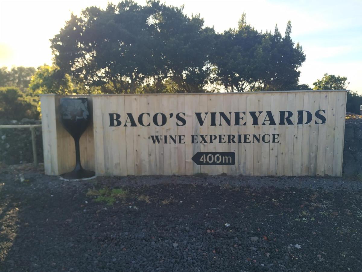 Baco'S Vineyard Villa Lajido Exterior photo